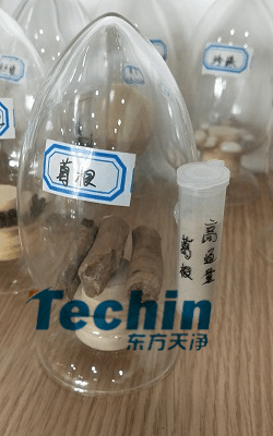 葛根麻豆黄色电影前后