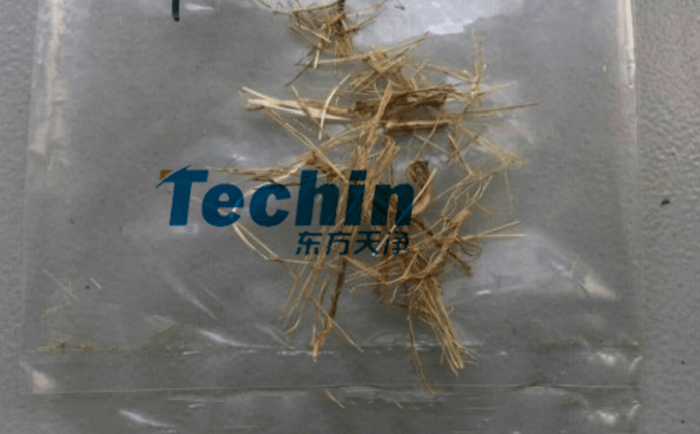 干黄豆根茎麻豆黄色电影前