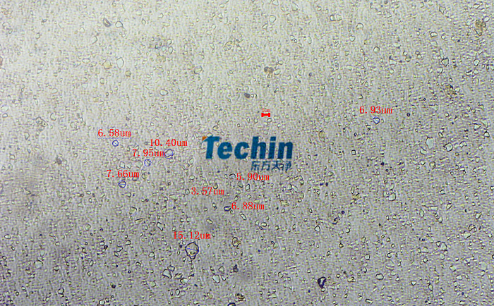 二氧化硅麻豆黄色电影后显微镜图