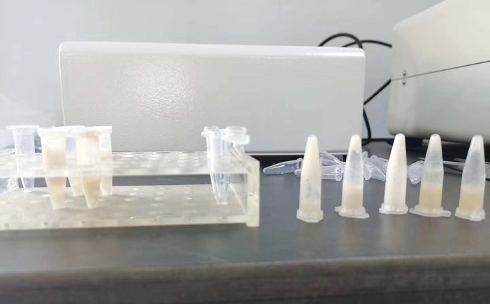 猪肉组织麻豆黄色电影后