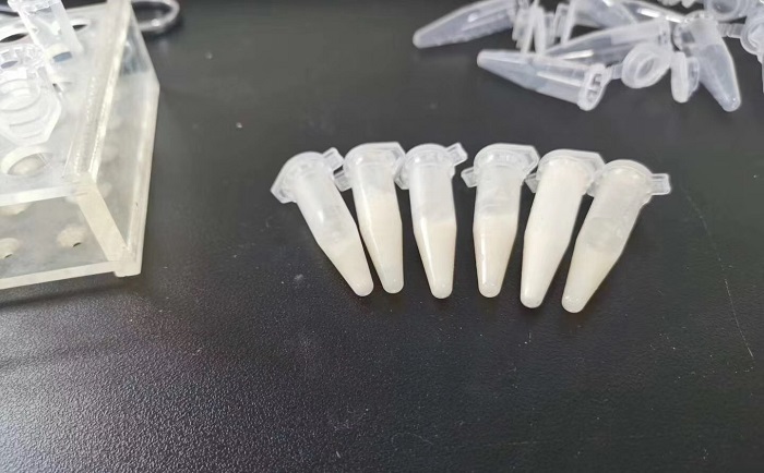 猪肉组织麻豆黄色电影后