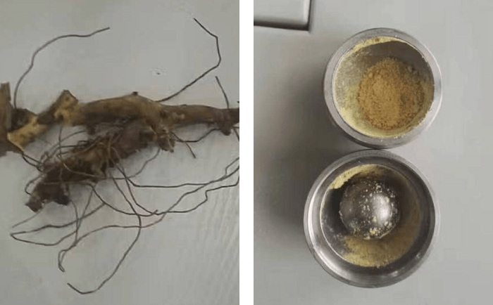 穿山龙麻豆黄色电影前后