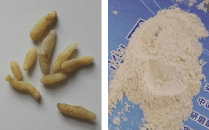 麦冬麻豆黄色电影前后